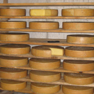 Juni 2009 054.JPG