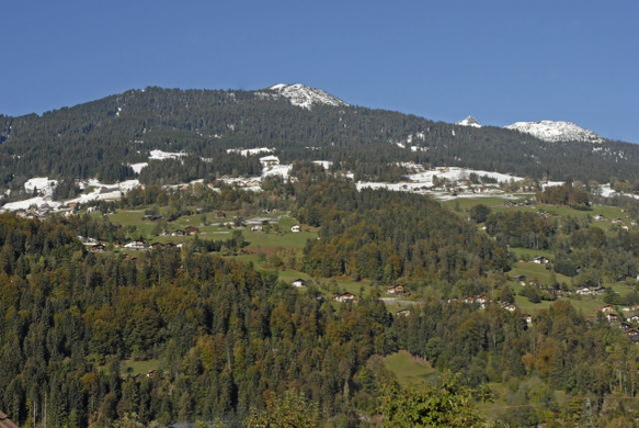 _DSC00040001_1.JPG