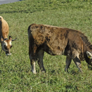 _DSC00200006_1.JPG