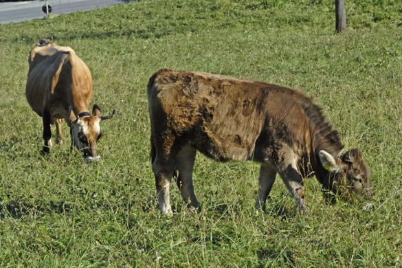 _DSC00200006_1.JPG