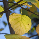 _DSC00320008.JPG