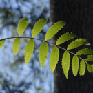 _DSC00440014.JPG
