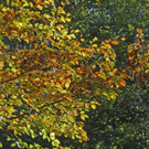 _DSC00580016_1.JPG