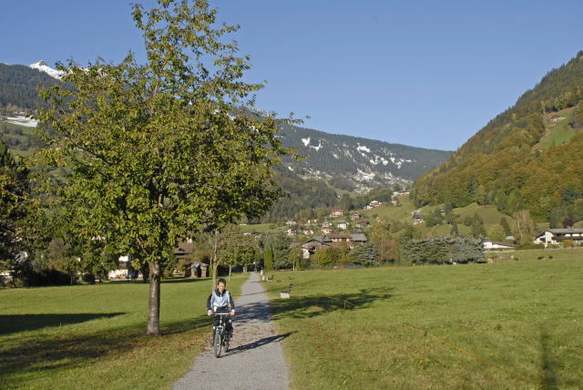 _DSC00700021_1.JPG