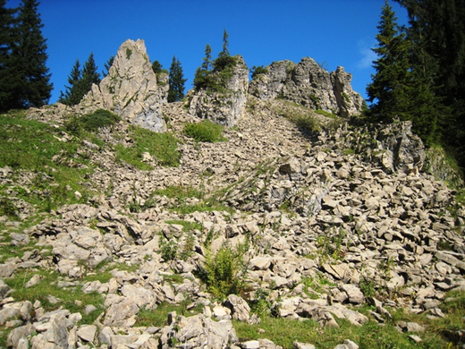 Schiverein Wandertag _9_.JPG