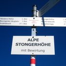 Schiverein Wandertag _12_.JPG