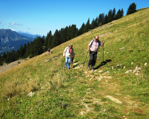 Schiverein Wandertag _14_.JPG