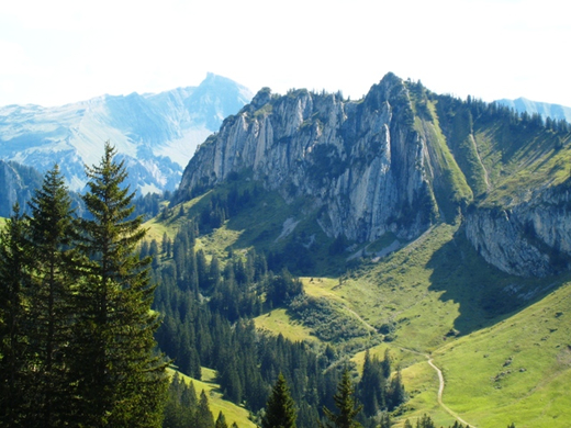 Schiverein Wandertag _25_.JPG