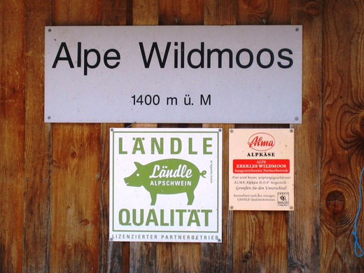 Schiverein Wandertag _26_.JPG