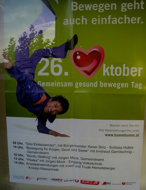 Bewegungstag Info Plakat 2009_ _1_.jpg