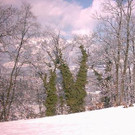 Besuch im Tierpark Feldkirch
