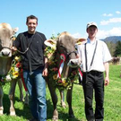 Spannende Braunvieh-Misswahl in Doren