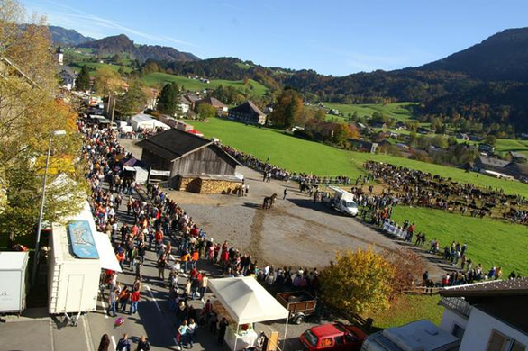 20061026_115197806.jpg