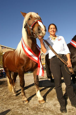 20061026_115200167.jpg