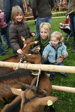 Ziegenausstellung 1.jpg