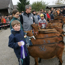 Ziegenausstellung 24.jpg