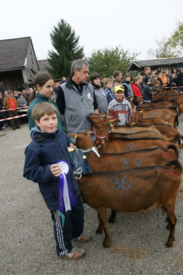 Ziegenausstellung 24.jpg