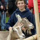 Ziegenausstellung 25.jpg