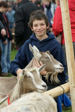 Ziegenausstellung 25.jpg