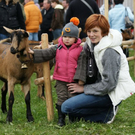 Ziegenausstellung 26.jpg