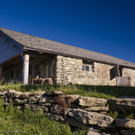 20090729_12204-5.jpg