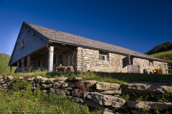 20090729_12204-5.jpg
