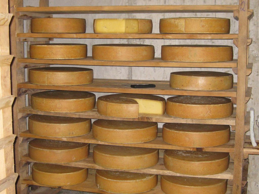 Juni 2009 054.JPG