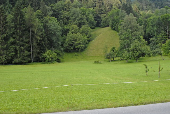 _DSC01080001.JPG