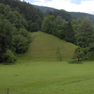_DSC01290007.JPG