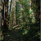 20091019_hirschberg_001_bwn.JPG