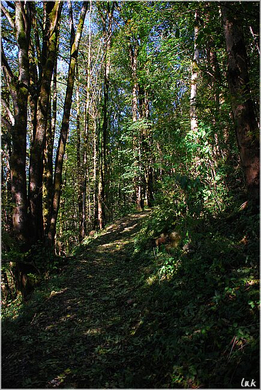 20091019_hirschberg_001_bwn.JPG