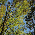 20091019_hirschberg_003_bwn.JPG
