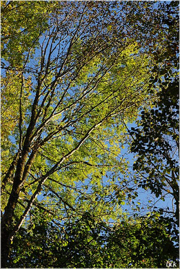 20091019_hirschberg_003_bwn.JPG