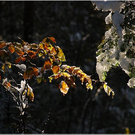 20091019_hirschberg_020_bwn.JPG