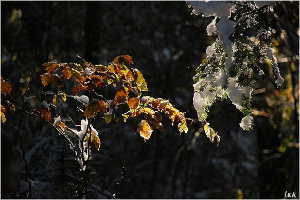 20091019_hirschberg_020_bwn.JPG