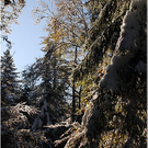 20091019_hirschberg_029_bwn.JPG
