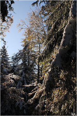 20091019_hirschberg_029_bwn.JPG