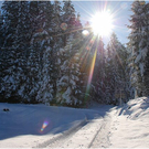 20091019_hirschberg_031_bwn.JPG