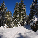 20091019_hirschberg_033_bwn.JPG