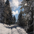 20091019_hirschberg_035_bwn.JPG