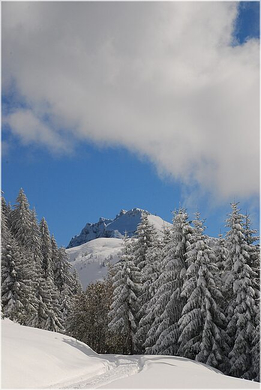 20091019_hirschberg_052_bwn.JPG
