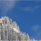20091019_hirschberg_055_bwn.JPG