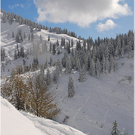 20091019_hirschberg_067_bwn.JPG