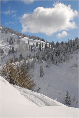 20091019_hirschberg_067_bwn.JPG