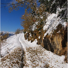20091019_hirschberg_072_bwn.JPG