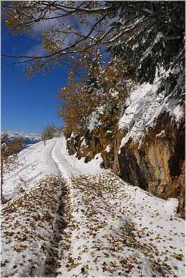20091019_hirschberg_072_bwn.JPG