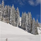 20091019_hirschberg_079_bwn.JPG
