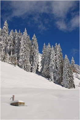 20091019_hirschberg_079_bwn.JPG