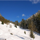 20091019_hirschberg_097_bwn.JPG