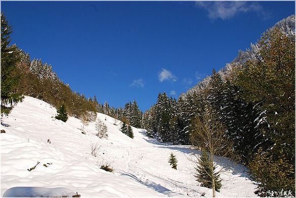 20091019_hirschberg_097_bwn.JPG